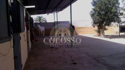Reventa - Hacienda -
Elche