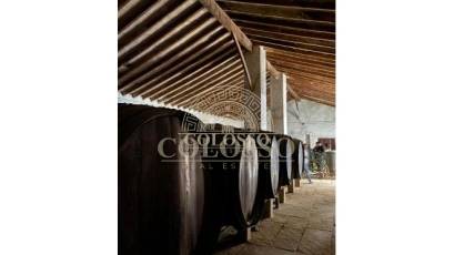 Reventa - Bodega -
Pinoso - CENTRO