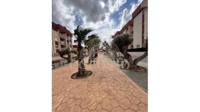 Nouvelle construction - apartment -
Orihuela Costa