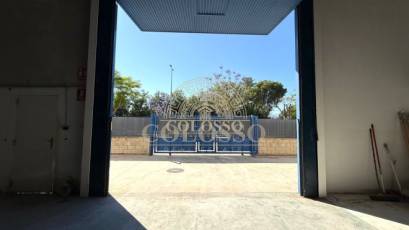 Alquiler - Local Comercial -
Catral