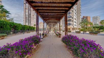 Resale - Apartamento -
Benidorm - Levante