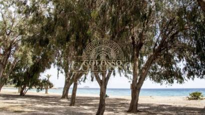 New Build - Planta baja -
Villajoyosa - Playas Del Torres